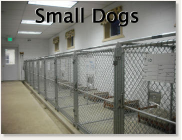 Kennels for little dogs