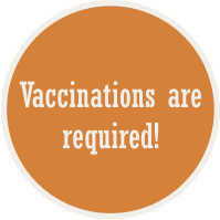 Vaccinations are required!