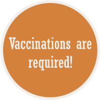 Vaccinations are required!
