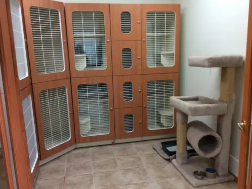 Kitty condos and cat tower