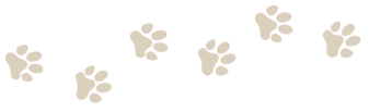 Kevin's Kennels, Dog Boarding, Cat Boarding, Doggy Daycare, Dog Grooming, Cat Grooming, Pet Grooming, Northern Wisconsin, Pet Boarding, Dog Kennels, Cat Kennels, Cat Condos, Pet Kennels, Eagle River, WI, The Eagle River Three Lakes Chain of Lakes, Lower W