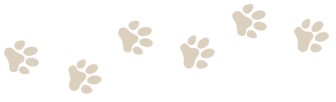 Kevin's Kennels, Dog Boarding, Cat Boarding, Doggy Daycare, Dog Grooming, Cat Grooming, Pet Grooming, Northern Wisconsin, Pet Boarding, Dog Kennels, Cat Kennels, Cat Condos, Pet Kennels, Eagle River, WI, The Eagle River Three Lakes Chain of Lakes, Lower W
