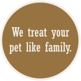 We treat your pet like family.